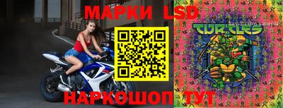 гашик Берёзовский