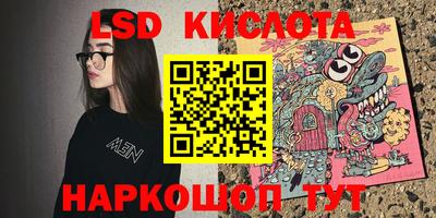 гашик Берёзовский