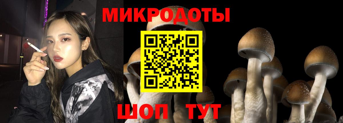 Псилоцибиновые грибы MAGIC MUSHROOMS  Вход с VPN  Губаха  цены   Псилоцибиновые грибы Cubensis 
